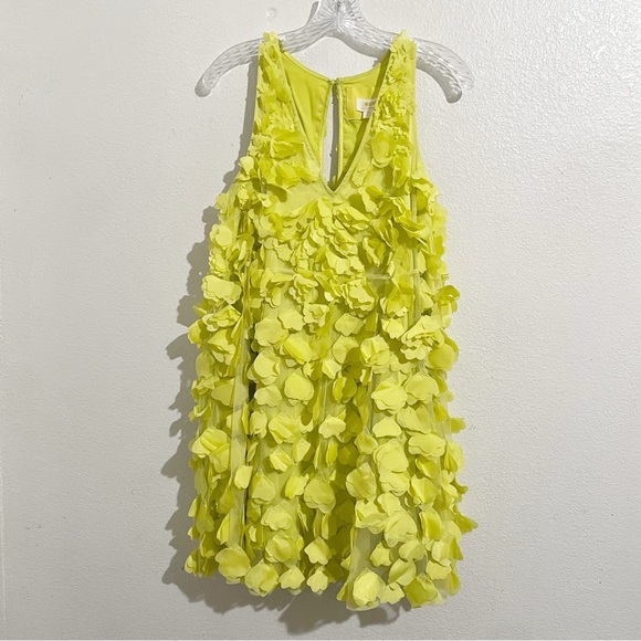 Anthropologie Maeve Sleeveless 3D Floral‎ Appliqué Mini Dress in Canary Yellow - Picture 6 of 12